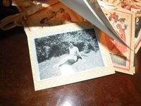 Jan 2013 053 Jan 2013 053