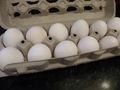 Eggs 001 Eggs 001