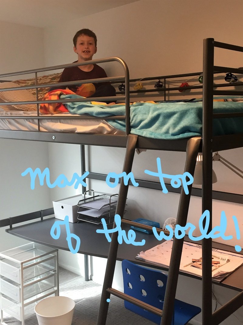 IMG_1164_LI IMG_1164_LI