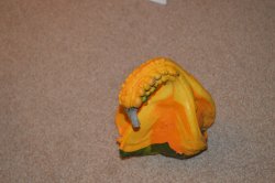 Redpepper jelly 061 Redpepper jelly 061