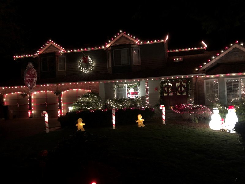 IMG_7003 (2) IMG_7003 (2)