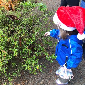 IMG_7099 (2) IMG_7099 (2)