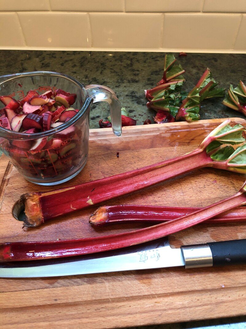 IMG_8551 (2) IMG_8551 (2)