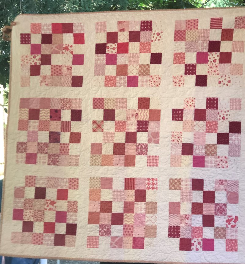 IMG_9259 (2) IMG_9259 (2)