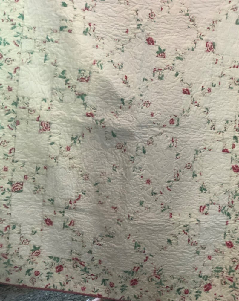 IMG_9242 (2) IMG_9242 (2)