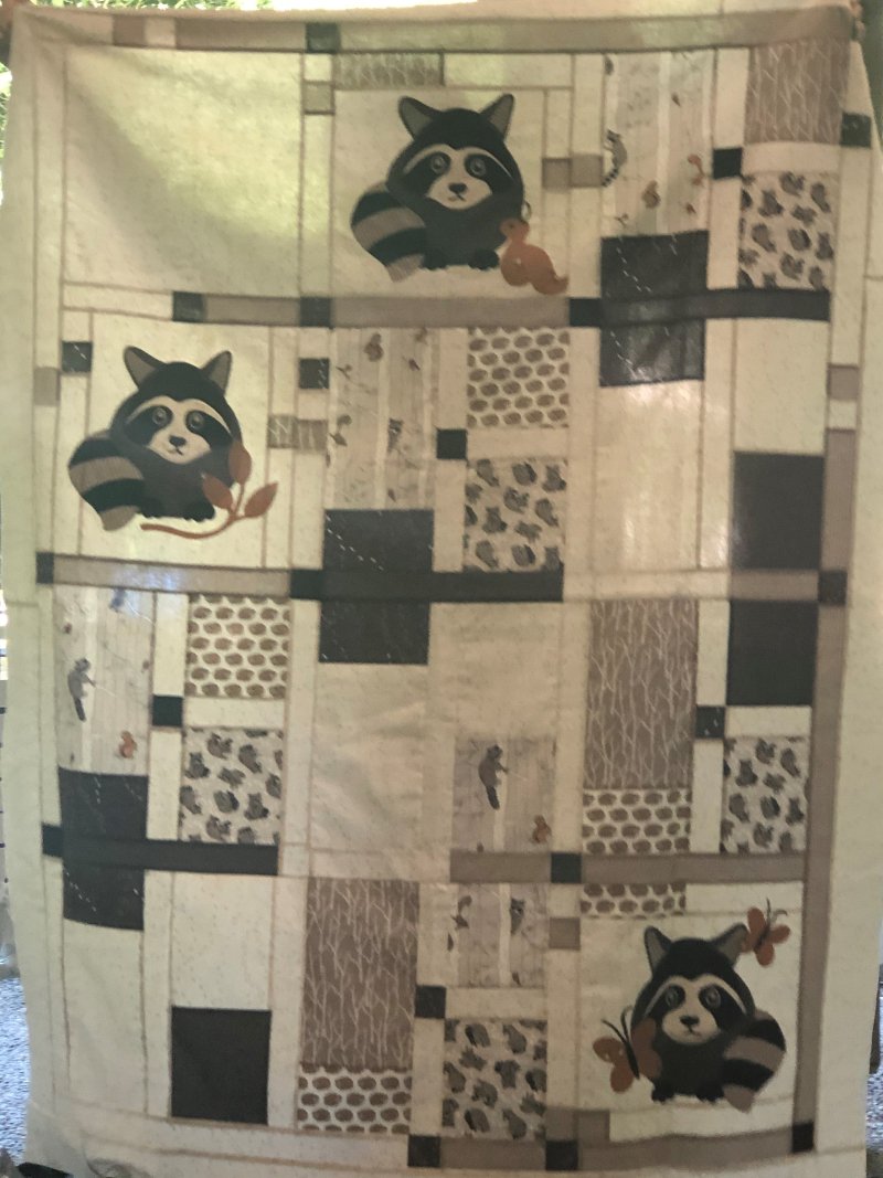 IMG_9295 (2) IMG_9295 (2)