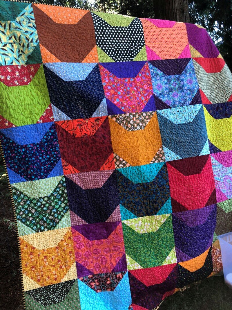 IMG_9652 (2) IMG_9652 (2)