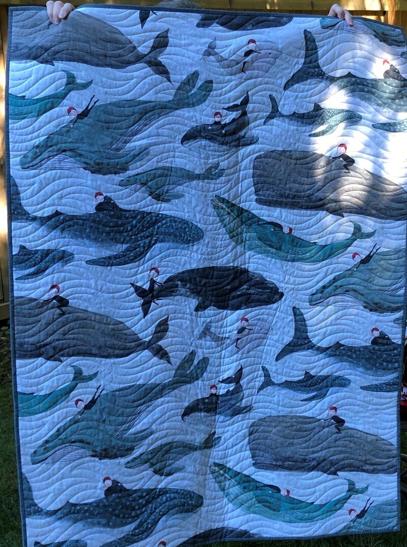 IMG_9660 (2) IMG_9660 (2)