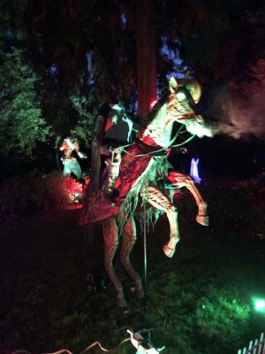 Thumbnail_IMG_0048 Thumbnail_IMG_0048