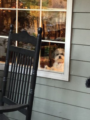 Thumbnail_IMG_0036 Thumbnail_IMG_0036