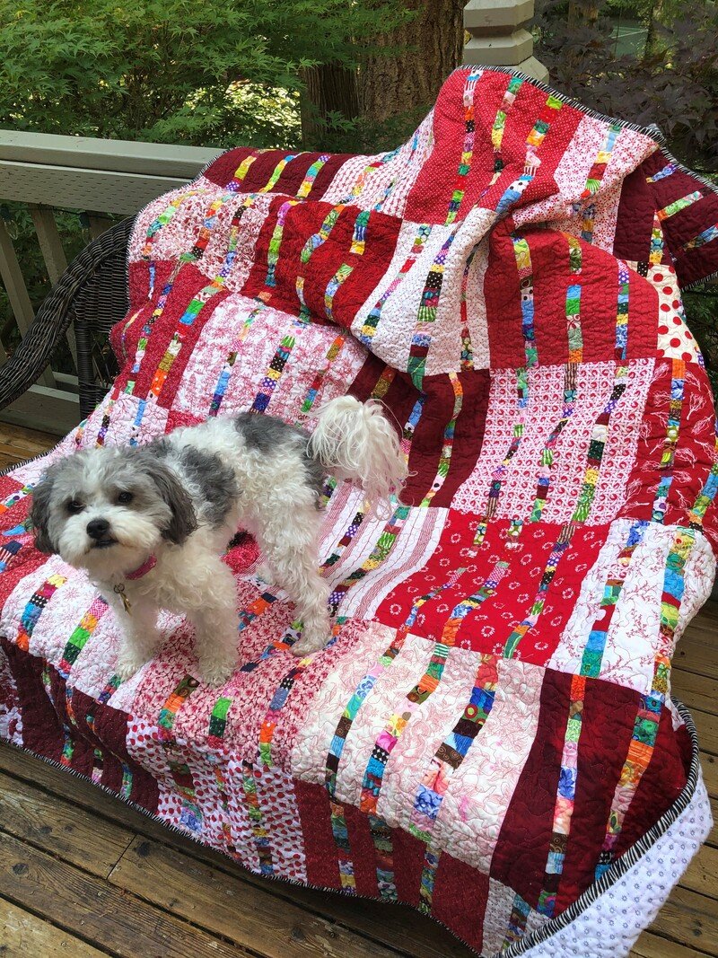 IMG_9567 (2) IMG_9567 (2)