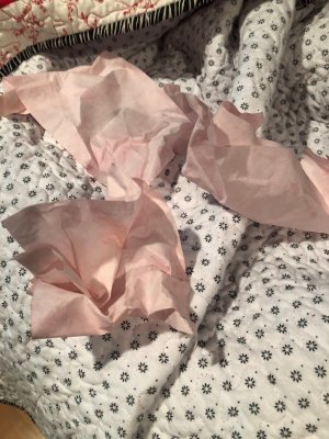 IMG_9573 (2) IMG_9573 (2)