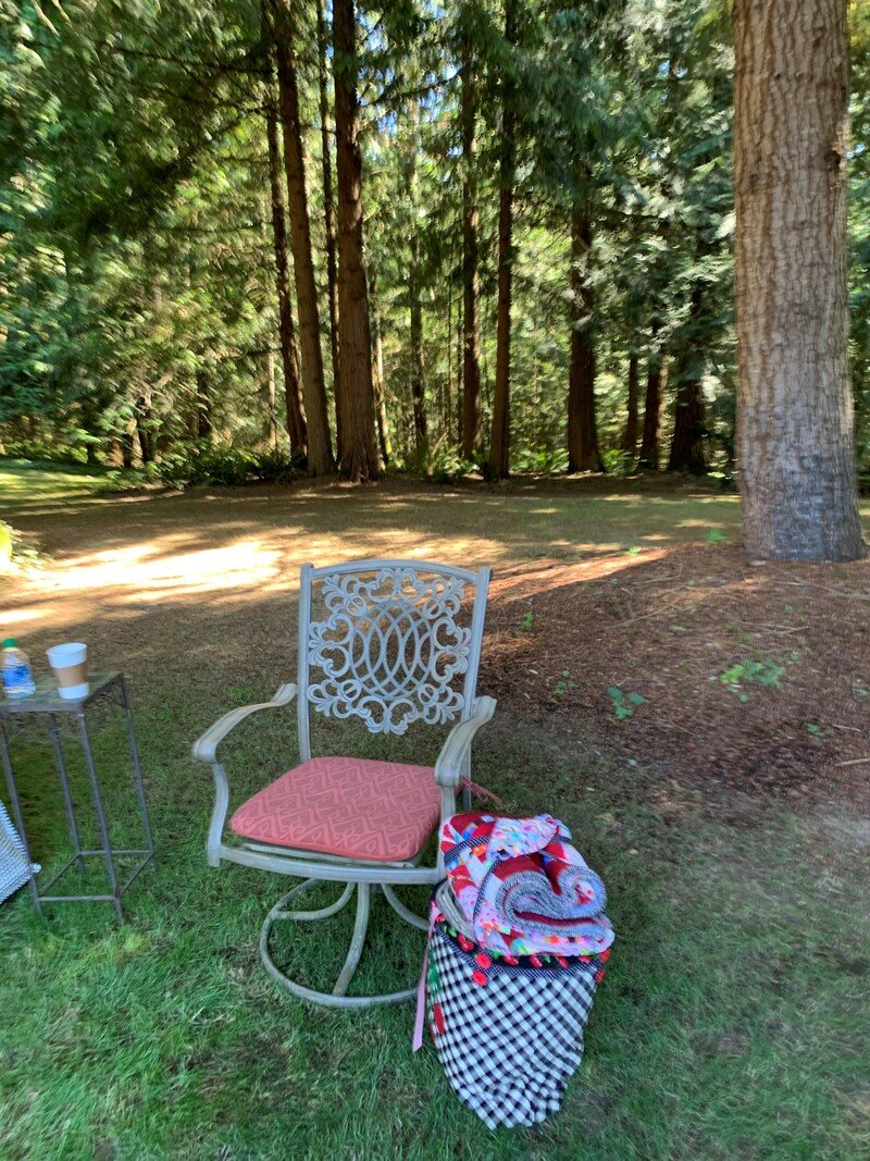 IMG_8799 (2) IMG_8799 (2)